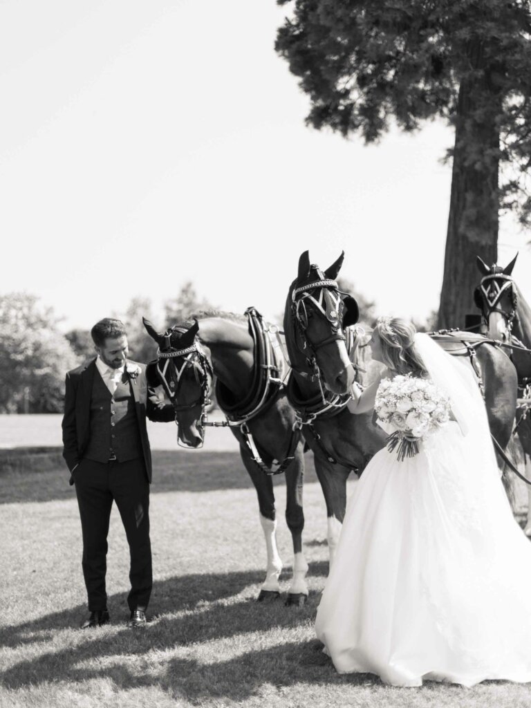 bride and groom with the horses